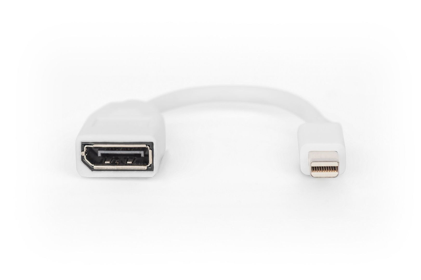 Digitus DisplayPort adapter cable. mini DP - DP - Image 1
