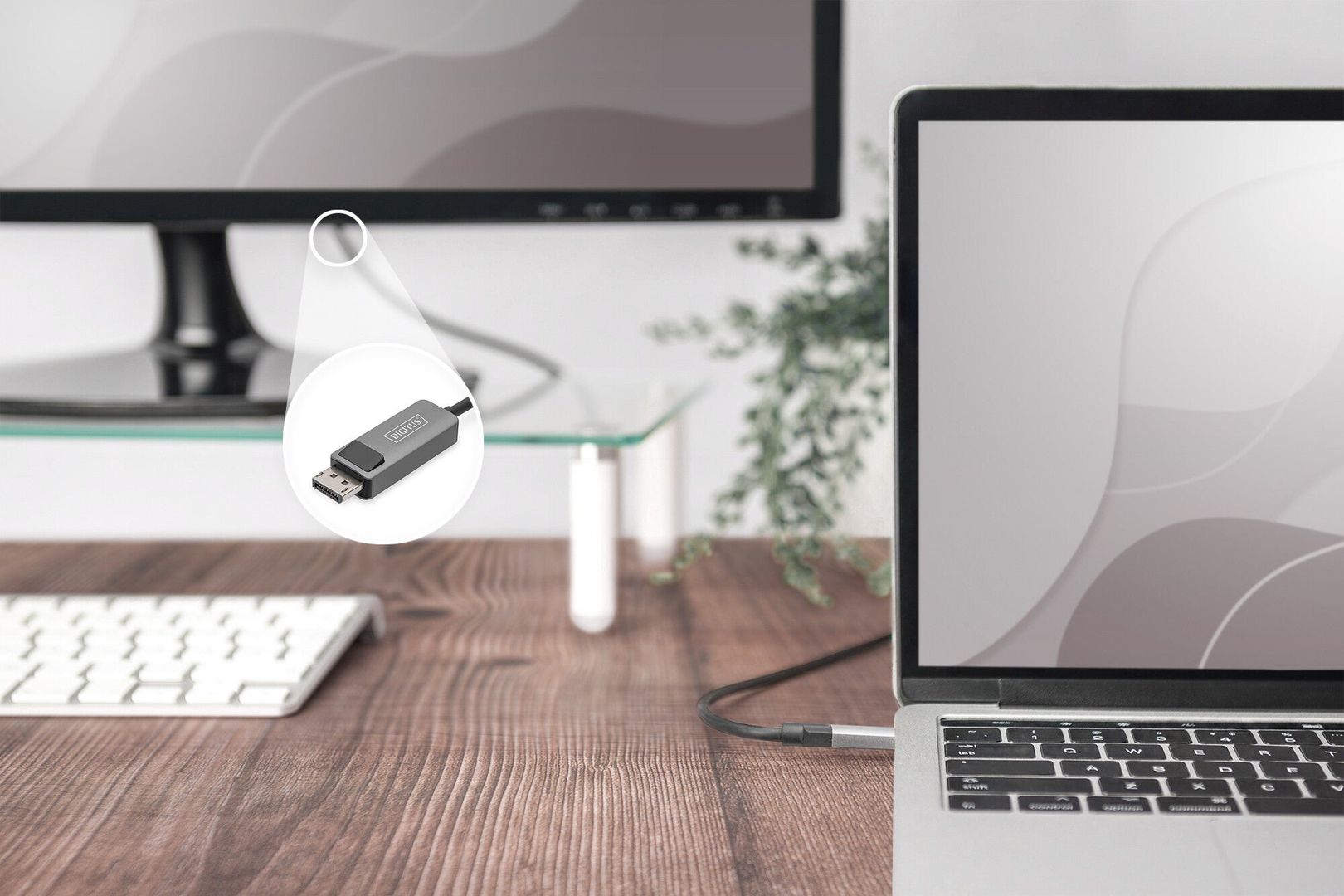 Digitus USB Type C to DisplayPort adapter cable - Image 1