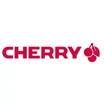 CHERRY DW 9100 SLIM keyboard Mouse included Universal RF Wireless + Bluetooth AZERTY French Black