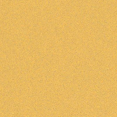 Bosch EXPERT C470 No Hole Sandpaper for Orbital Sanders 93mm x 230mm 80g Pack of 10