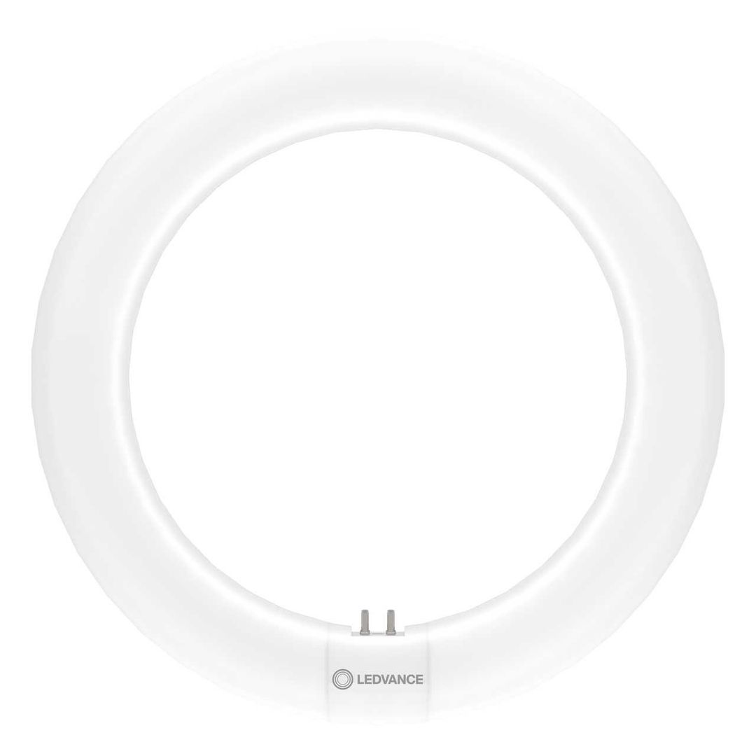 Ledvance LEDTUBE T9 Circular 11W 4-Pin Value Class Daylight Frosted - Image 1