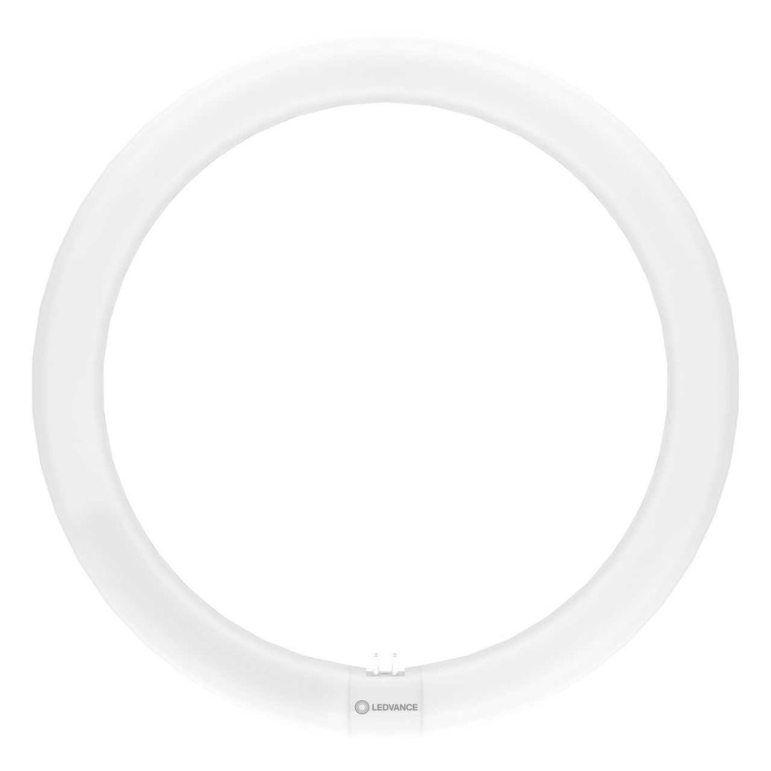 Ledvance LEDTUBE T9 Circular 18.3W 4-Pin Value Class Cool White Frosted - Image 1