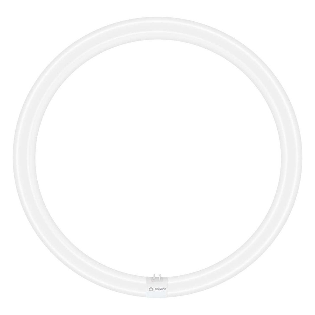 Ledvance T9 Circular LED Light Bulb 4-Pin 24W (40W Eqv) Cool White Frosted LEDTUBE Value Class 840 Replacement Fluorescent Tubes - Image 1