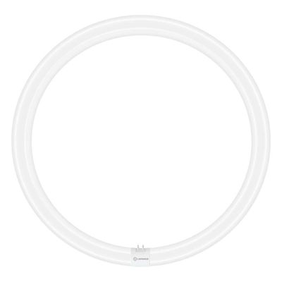 Ledvance T9 Circular LED Light Bulb 4-Pin 24W (40W Eqv) Cool White Frosted LEDTUBE Value Class 840 Replacement Fluorescent Tubes