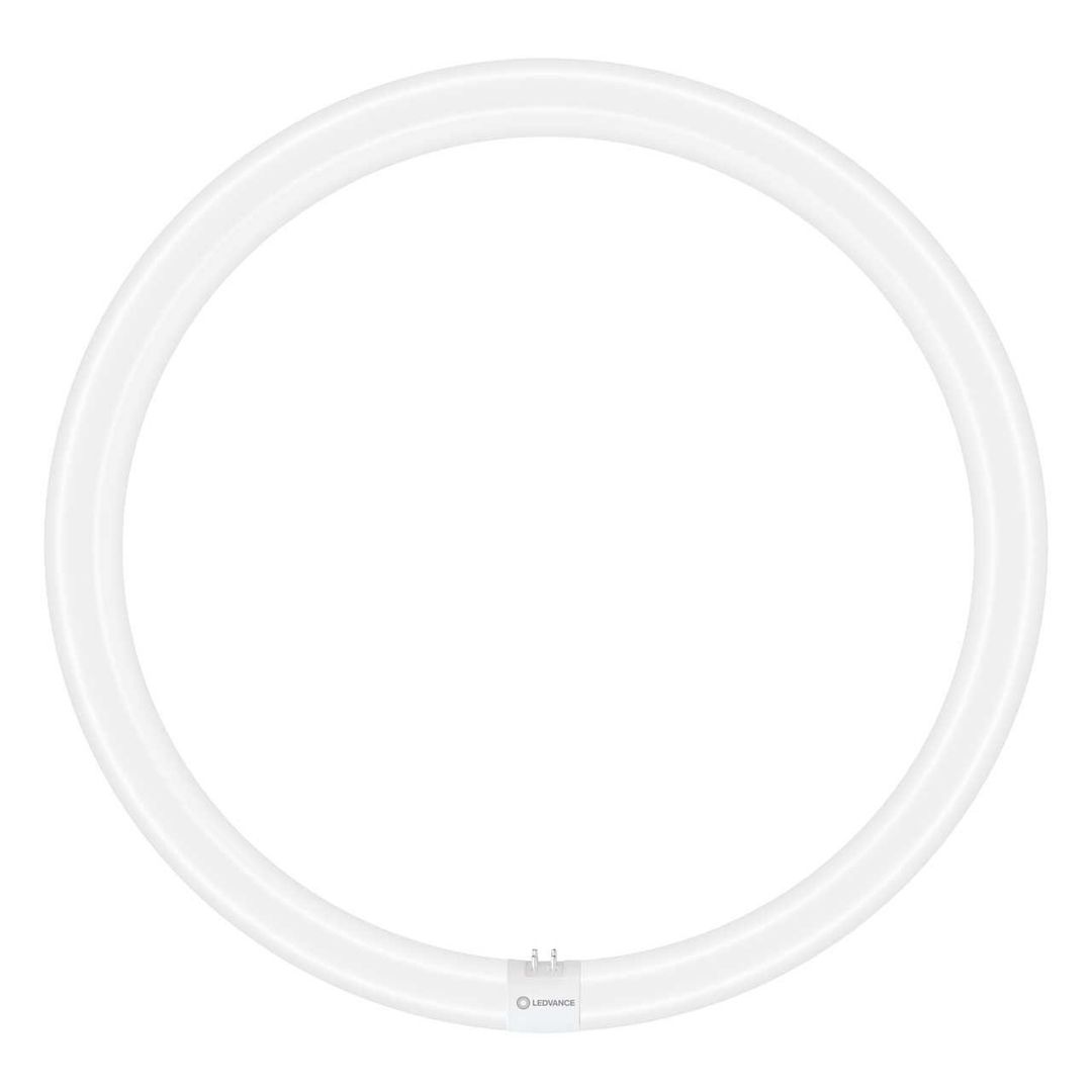 Ledvance LEDTUBE T9 Circular 24W 4-Pin Value Class Daylight Frosted - Image 1
