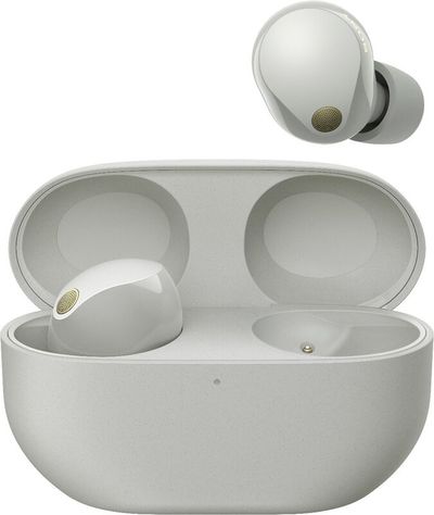 SONY WF-1000XM5 Wireless Bluetooth Noise-Cancelling Earbuds - Silver, Silver/Grey