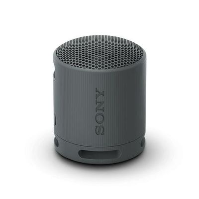 SONY SRS-XB100 Portable Bluetooth Speaker - Black, Black