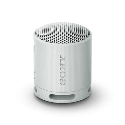 SONY SRS-XB100 Portable Bluetooth Speaker - Light Grey, Silver/Grey