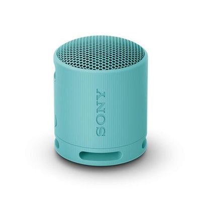 SONY SRS-XB100 Portable Bluetooth Speaker - Blue, Blue