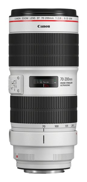 CANON EF 70-200 mm f/2.8L IS III USM Telephoto Zoom Lens, White,Black