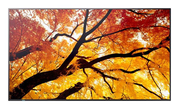 Sharp MultiSync M862 Digital signage flat panel 2.18 m (86") LCD 550 cd/m 4K Ultra HD Black 24/7 - Thumbnail 2