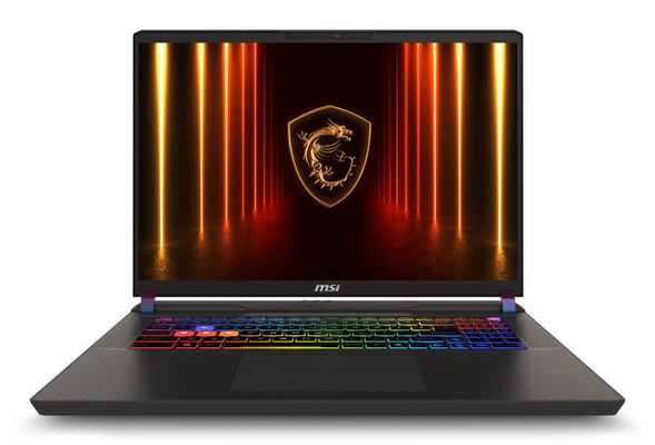 MSI Vector 17 HX AI A2XWJG-004UK Intel Core Ultra 9 275HX Laptop 43.2 cm (17") Quad HD+ 32 GB DDR5-SDRAM 1 TB SSD NVIDIA GeForce RTX 5090 Wi-Fi 7 (802.11be) Windows 11 Home Advanced Grey