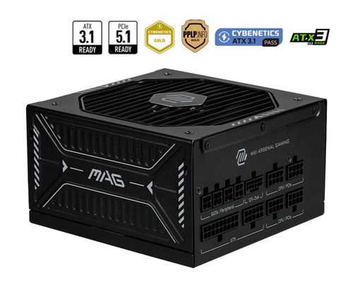 MSI MAG A1000GLS PCIE5 power supply unit 1000 W 24-pin ATX ATX Black