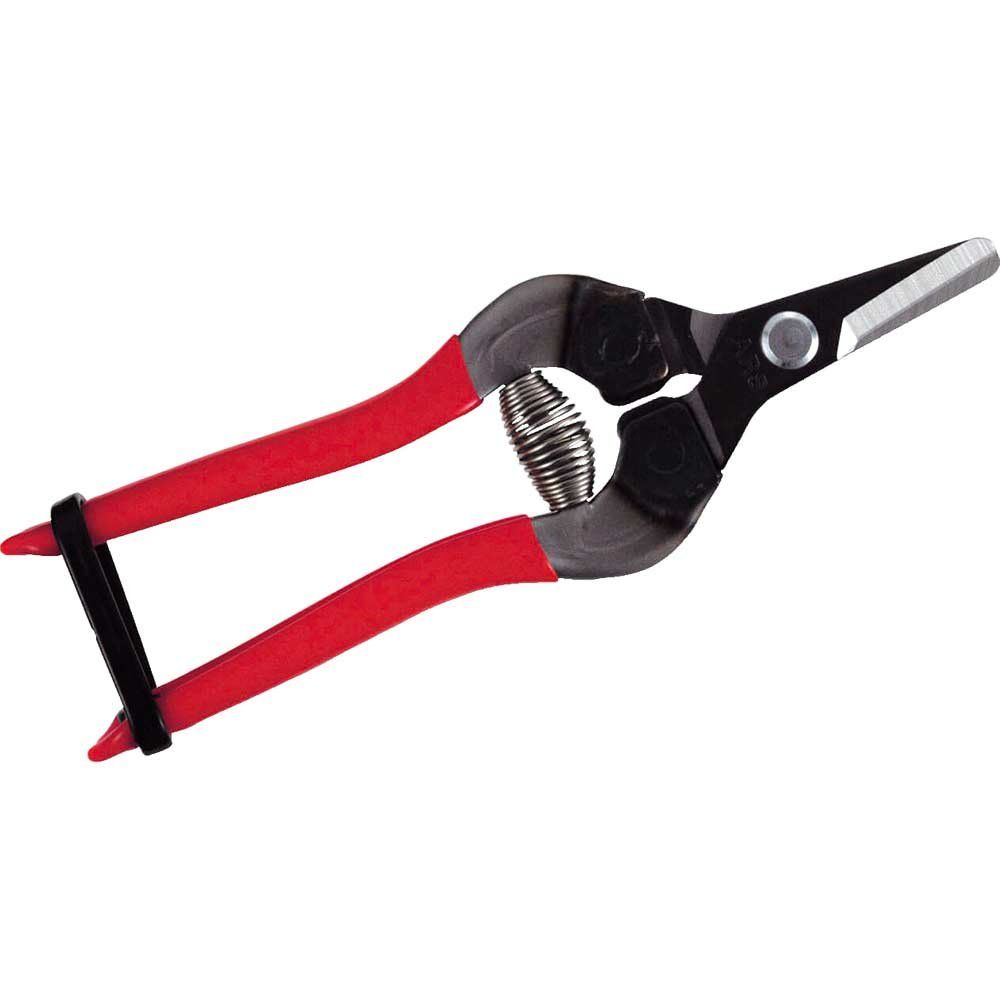 ARS 310-T Straight Blade Fruit Pruner 160mm - Image 1