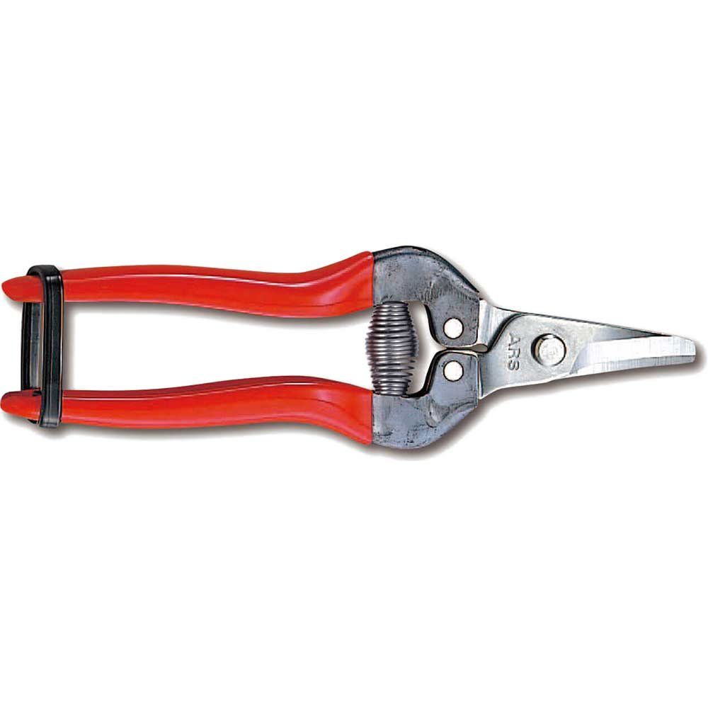 ARS 310DX Fruit Pruner Stainless Steel Blade 170mm - Image 1