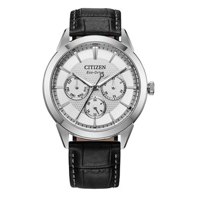 Citizen Rolan 40mm Stainless Steel Eco-Drive Men's Watch