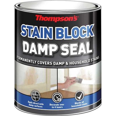 Ronseal 30853 Thompsonfts Stain Block Damp Seal 250Ml