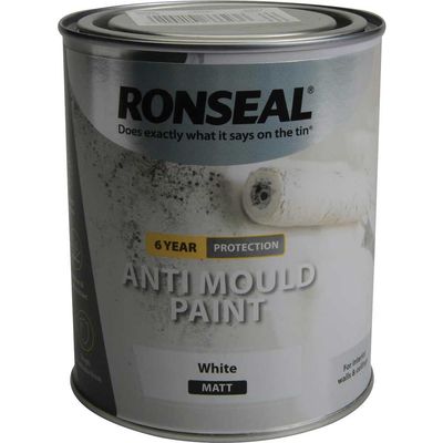 Ronseal 36623 6 Year Anti Mould Paint White Matt 750Ml