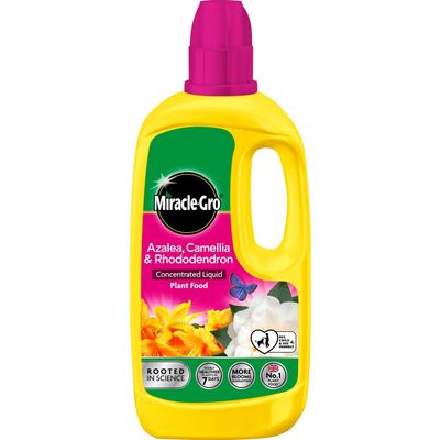 Miracle-Gro Ericaceous Concentrate Feed