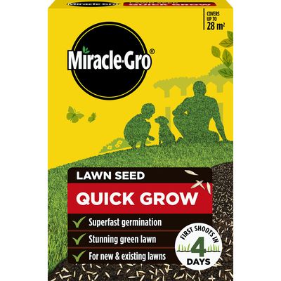 Fast Grass Lawn Seed