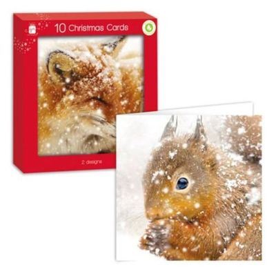 Fox and Squirrel Christmas Cards 10 Pack