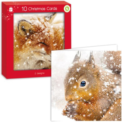Fox and Squirrel Christmas Cards 10 Pack - Thumbnail 2
