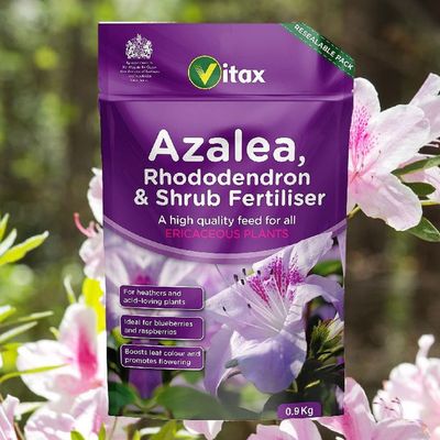 Vitax 6AZ901 Azalea Rhododendron & Shrub Fertilizer 0.9Kg Pouch
