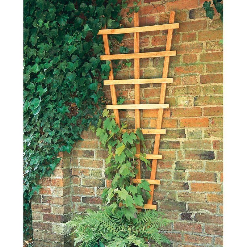 Forest 2' x 6' Decorative Fan Wall Trellis (0.66m x 1.83m) - Image 1
