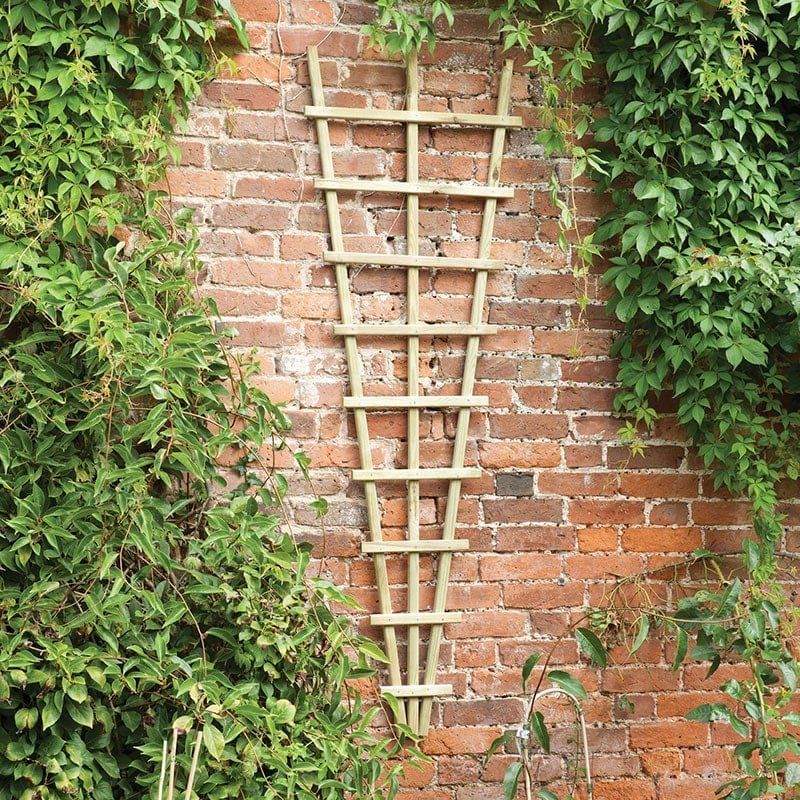 6' x 2' Forest Traditional Pressure Treated Fan Trellis (1.8m x 0.6m) - Image 1