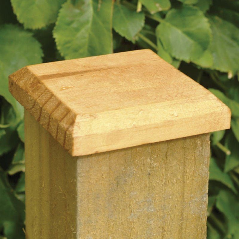 Forest Fence Post Cap 10 x 10cm - Image 1