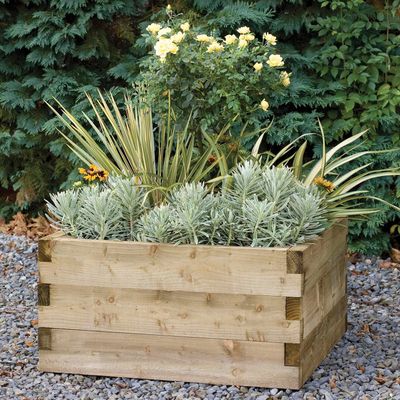 Forest Forest Caledonian Square Raised Bed