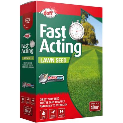 Fast Growing Lawn Seed
