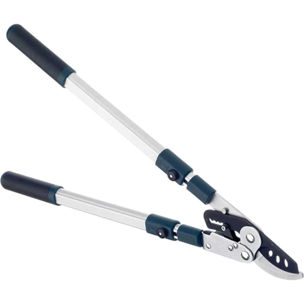 Bulldog BD3113TW Bd3113Tw Evergreen Extending Bypass Loppers - Image 1