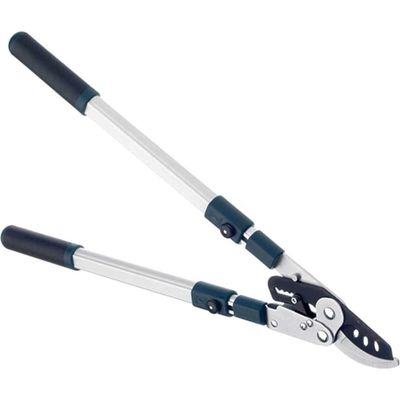 Bulldog BD3113TW Bd3113Tw Evergreen Extending Bypass Loppers