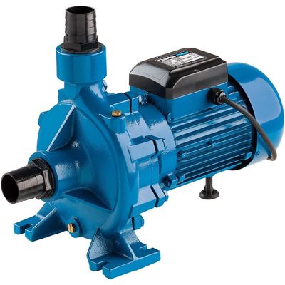 Clarke Clarke ECP20A1 2" Electric Centrifugal Pump (230V)