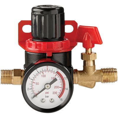 Clarke Clarke CAT157 1/4" Mini Air Regulator