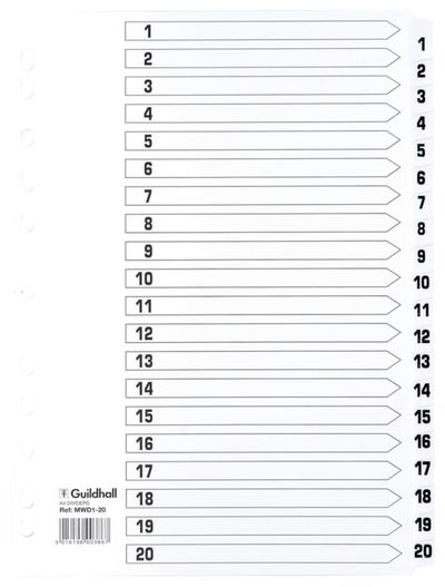 Guildhall Exacompta Index 1-20 A4 160gsm Card White with White Mylar T
