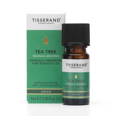 Tisserand Aromatherapy Tea Tree Ethically Harvested Essential Oil 9ml - Thumbnail 2