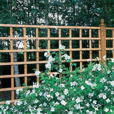 Forest 6' x 4' Heavy Duty Square Garden Trellis Fence Panel (1.83m x 1.22m) - Image 1