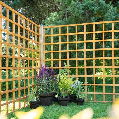 Forest 6' x 6' Heavy Duty Square Garden Trellis Fence Panel (1.83m x 1.83m)