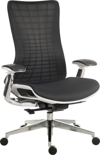 TEKNIK Quantum Mesh Executive Chair - White & Black