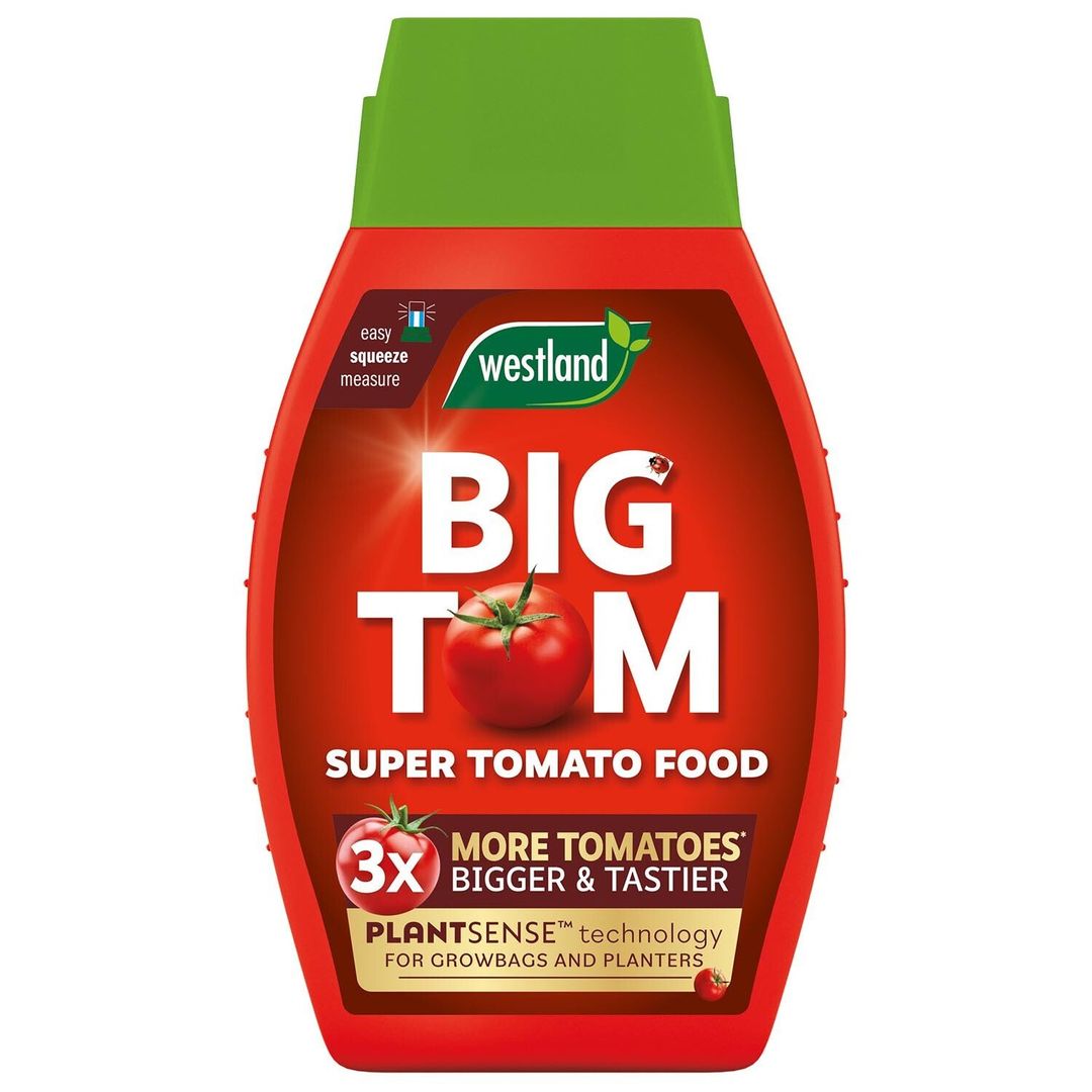 Big Tom Tomato Food - Image 1