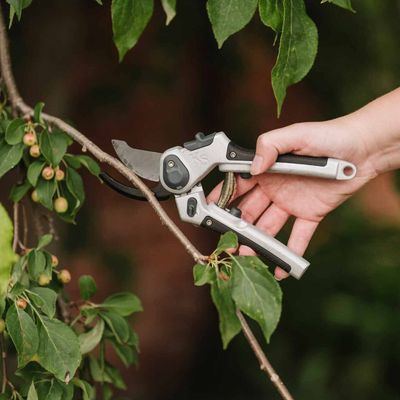 Eversharp Lite All Purpose Secateurs - Brown