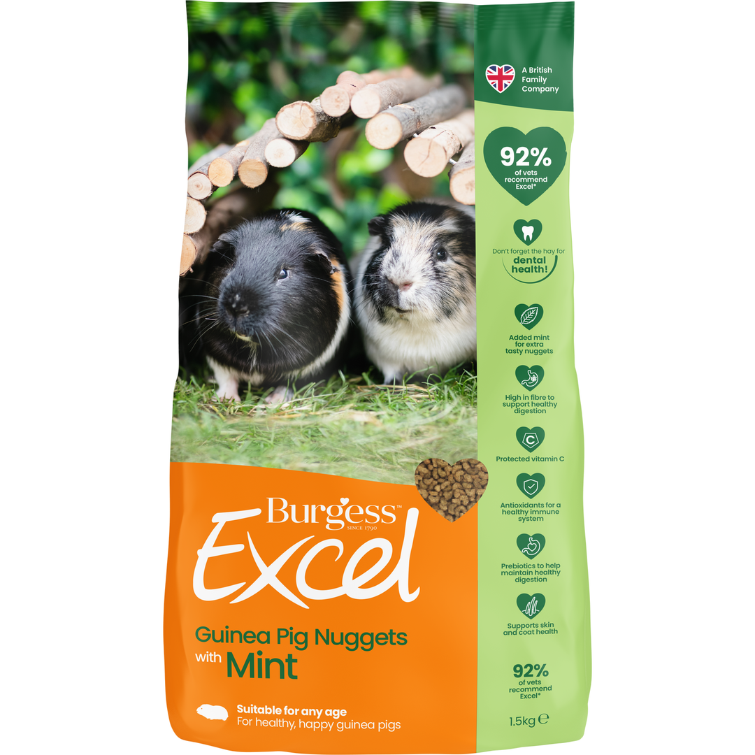 Burgess Excel Guinea Pig Nuggets - Mint - Image 1