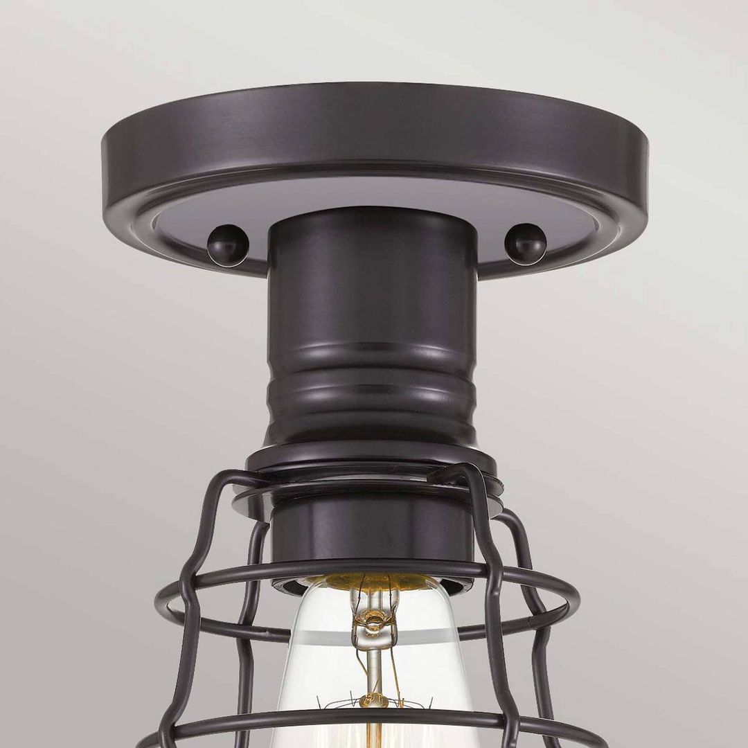 QUOIZEL Mite ceiling light with metal cage, bronze - Image 1