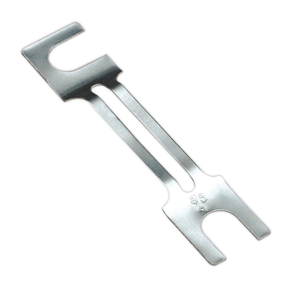 Sealey 100A Fuse 99 X 20Mm - Large - Image 1