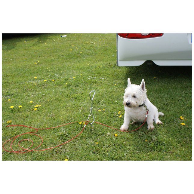 Streetwize Streetwize LWACC493 Dog Anchor with Tether - Image 1