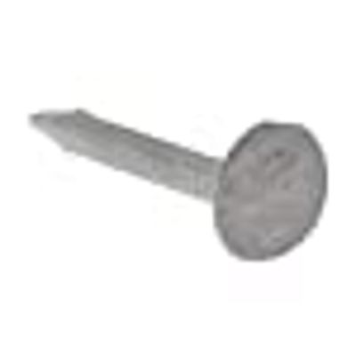 Forgefix 500NLELH30GB Clout Nail Extra Large Head Galvanised 30Mm (500G Bag) - Thumbnail 2