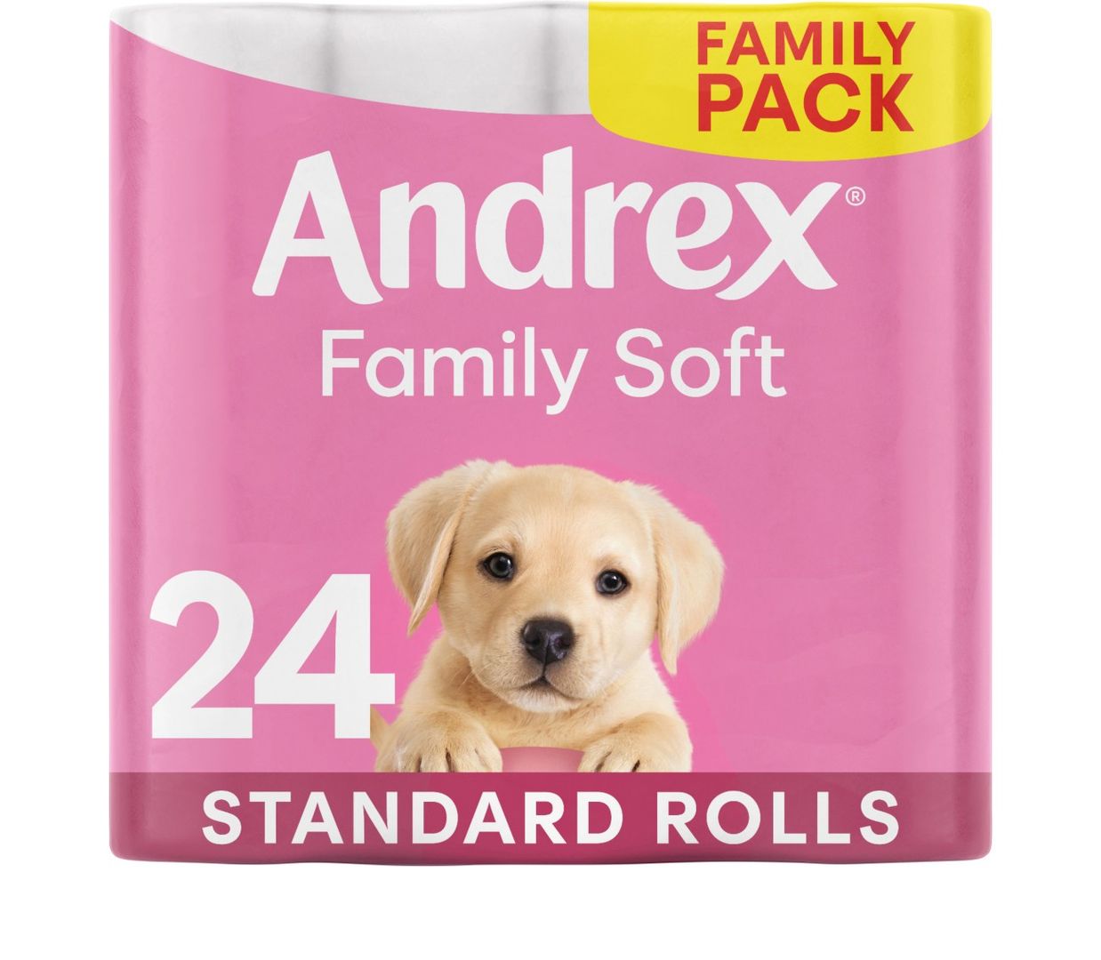 Andrex Family Toilet Roll 2-Ply 170 Sheets Per Roll (Pack of 24) 4978918 - Image 1