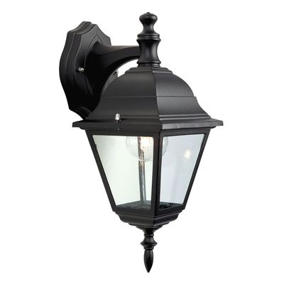 Firstlight Downlight 4-Panel Outdoor Wall Lantern Clear in Black